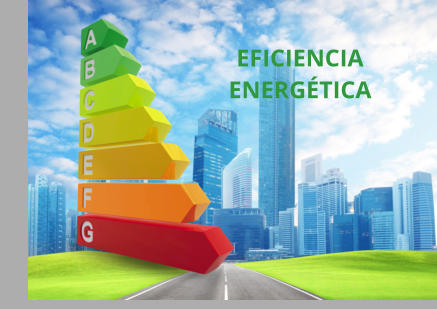 EFICIENCIA ENERG�TICA
